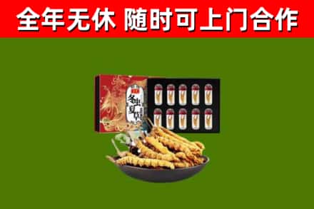 叠彩区回收冬虫夏草价格