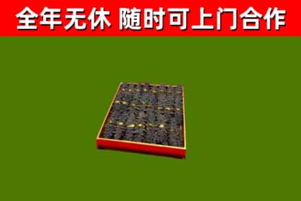 叠彩区回收海参